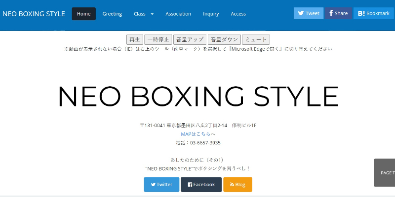 NEO BOXING STYLE