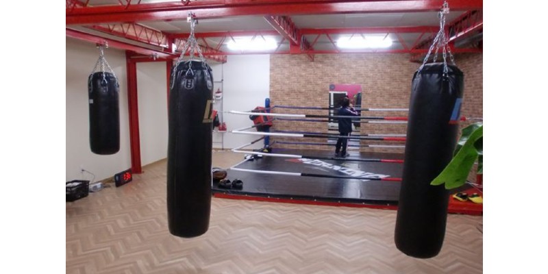mr-boxing gym-img