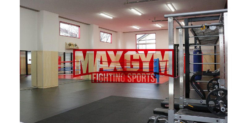max fighting sports gym-img