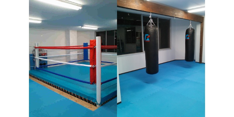 seeskyboxinggym-img
