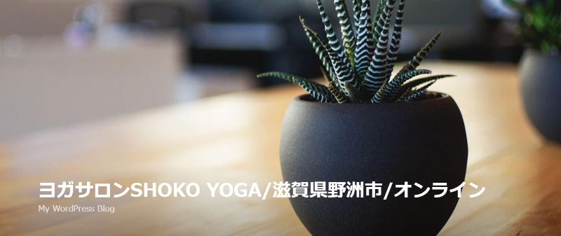 ヨガサロンshoko yoga